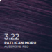 3-22-patican-moru